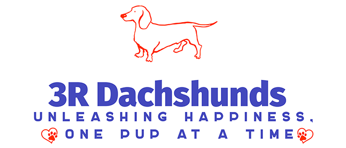 3R Dachshunds logo